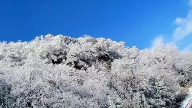 逗小猴开心系列201